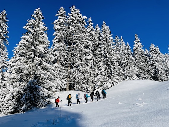 swissalpinemotionhiver23